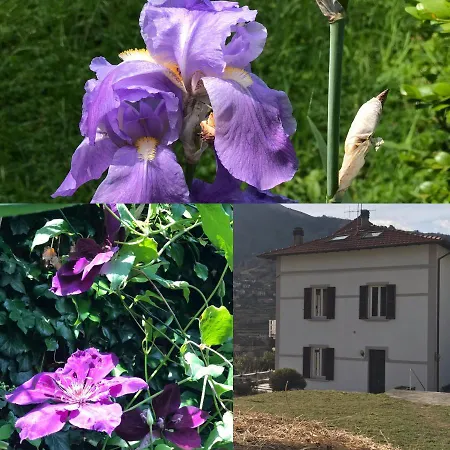Oleandra Vip With Garden&swimming Pool Orman Evi *